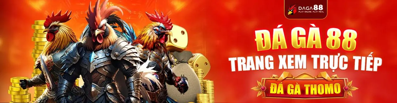 Đá gà trực tuyến kịch tính tại xin88 sòng bạc